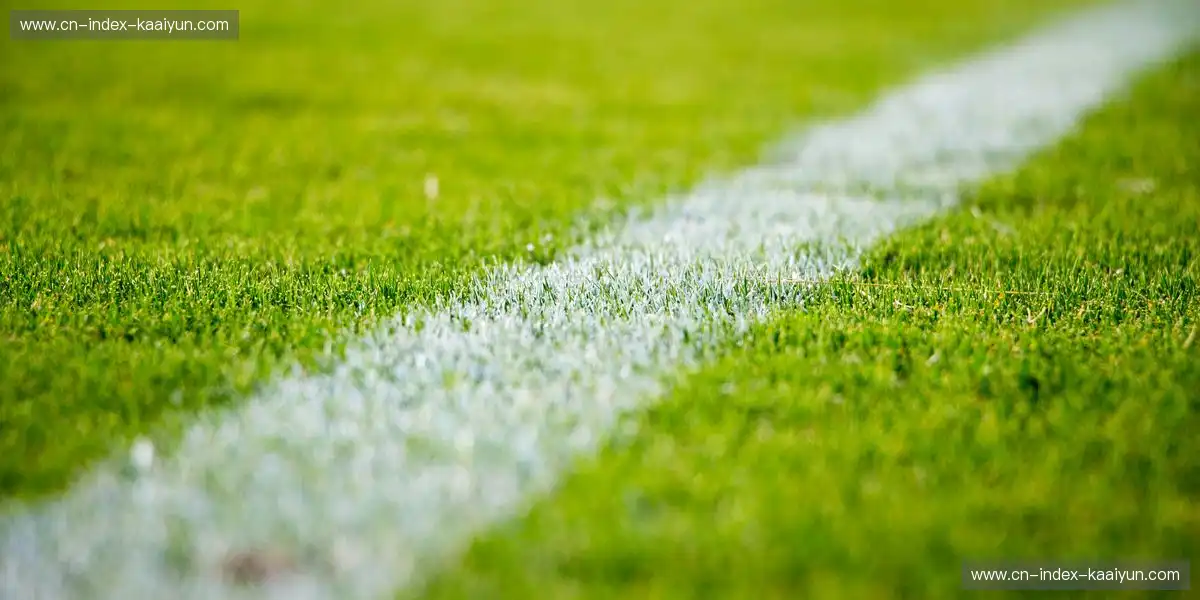 直播系统适应不同环境